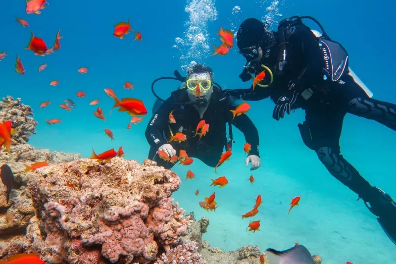 Daily Kusadasi Diving Tour 4