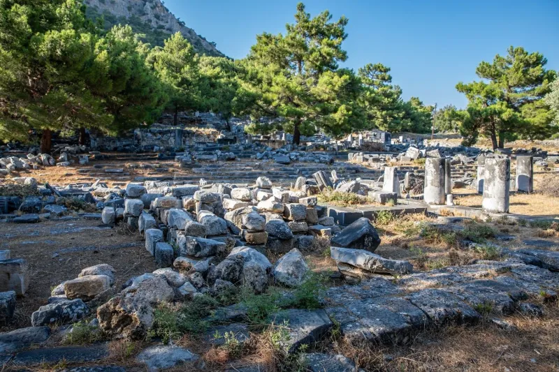 Daily Priene-Miletus-Didyma Tour
