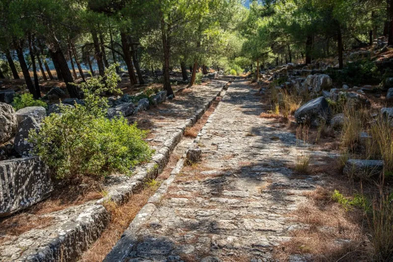 Daily Priene-Miletus-Didyma Tour 3