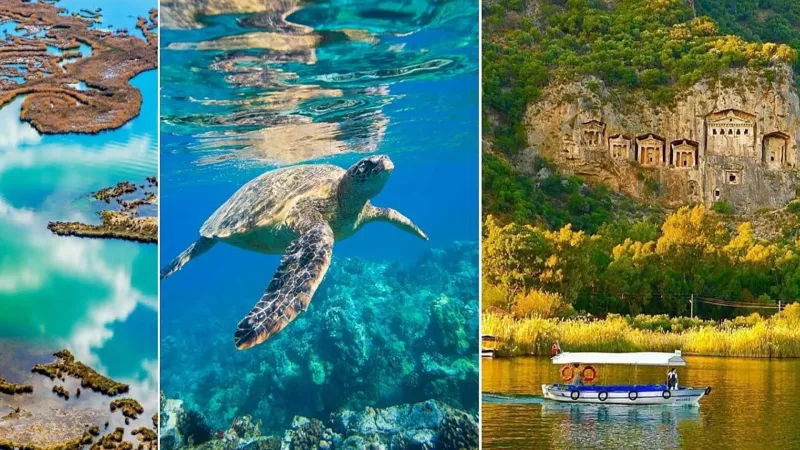 Dalyan Caretta Caretta Tour 3