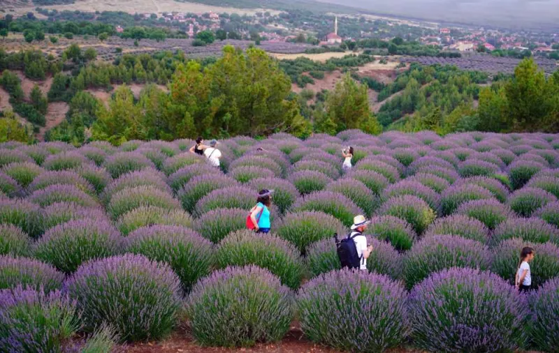 Isparta Lavender Fields & Photography Tour 4