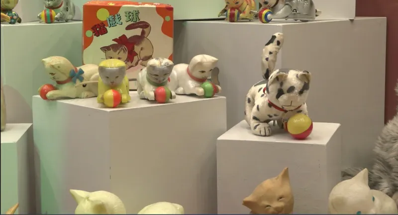 Istanbul Cat Museum & Local Life Tour 3
