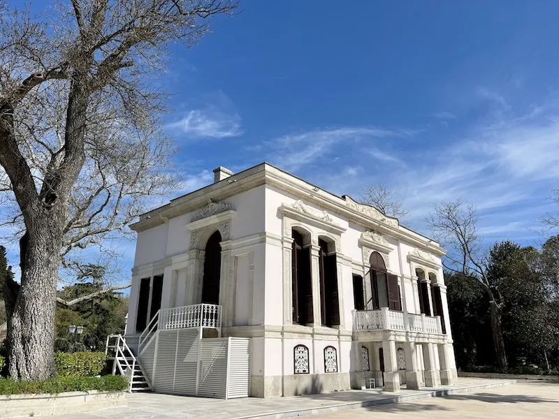 Istanbul Cat Museum & Local Life Tour 4