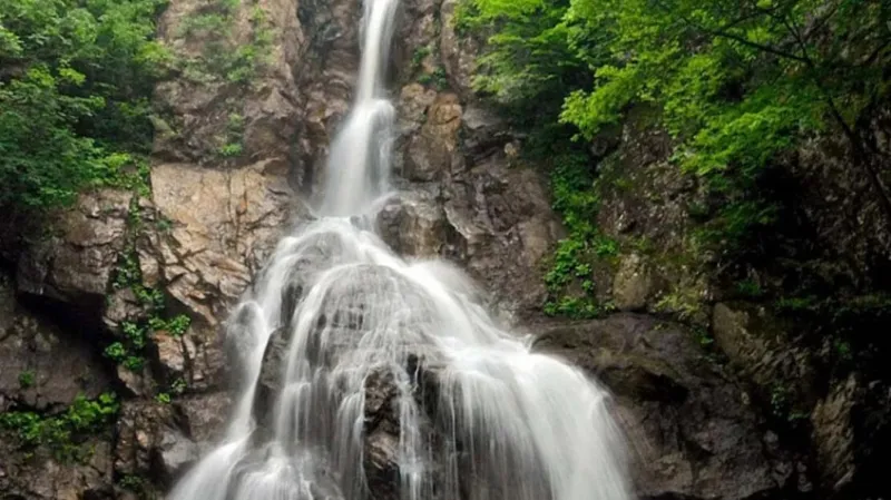 1 Night 2 Day Yalova Tour From Istanbul 5