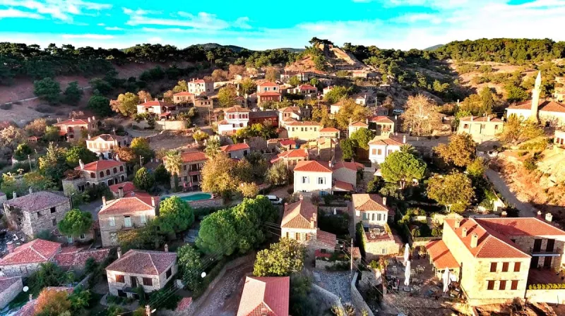 2 Nights 3 Days Kaz Mountains and Olive Grove Tour
