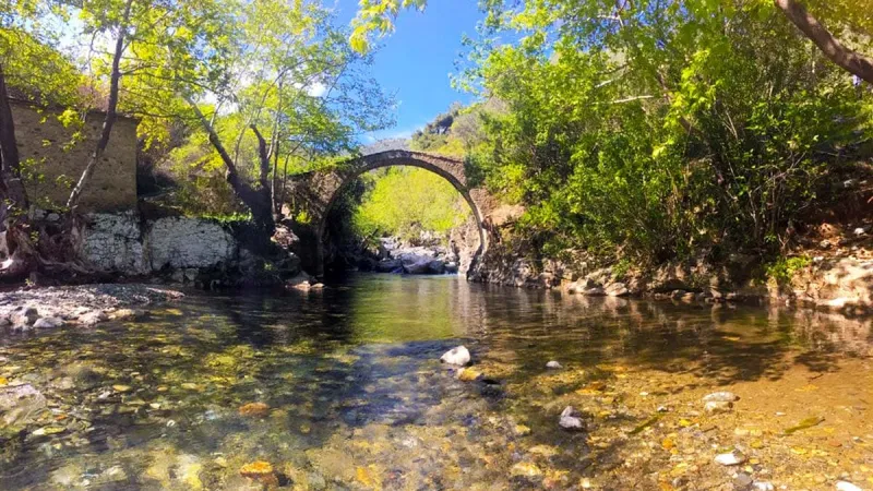 2 Nights 3 Days Kaz Mountains and Olive Grove Tour 4
