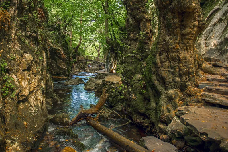 2 Nights 3 Days Kaz Mountains and Olive Grove Tour 5