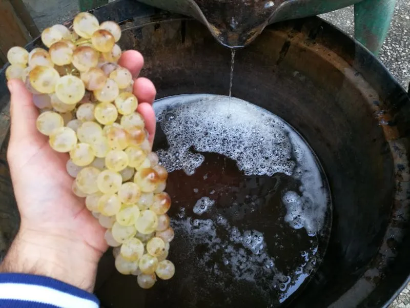 2 Nights 3 Days Thrace Wine Route & Wine Tasting Tour 2